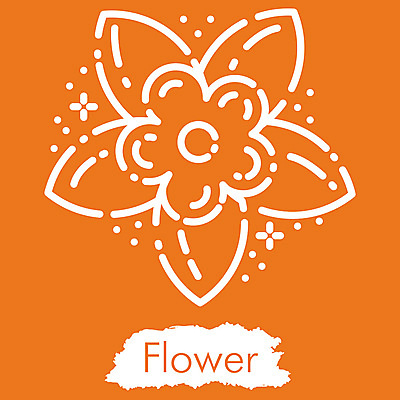 포토 JPG 해외이미지 아이콘 디자인 계절 꽃 선 모래 파도 바다 섬 여행 일러스트 휴가 휴식 미술 취미 해변 사람없음 야외 그래픽 수확 뜨거움 화려 낙서 스케치 심볼 오브젝트 사인 그림 윤곽 고립 엘리먼트 스타일 해외202009 해외포토 식물 컨셉 농업 문화예술 파일형식