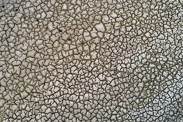 포토 JPG 해외이미지 계절 지구 호수 모래 백그라운드 패턴 자연 표면 날씨 건조 풍경 사람없음 물 여름 글로벌 갈색 환경 흙 손상 사막 슬픔 죽음 뜨거움 거친 오염 변화 균열 댐 땅 부식 질감 먼지 충격 가뭄 지구온난화 내추럴 기후변화 깨짐 땅바닥 생태학 위기 재앙 해외202009 해외포토 자연요소 공공시설 교육 감정 컬러 컨셉 무늬 모션 바닥 생태계 파일형식