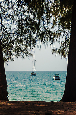포토 JPG 해외이미지 나무 라이프스타일 실루엣 바다 여행 요트 자연 하늘 휴가 휴식 항해 풍경 사람없음 야외 초록색 파란색 햇빛 반사 침묵 낭만 만 보트 숲 정박 해외202009 해외포토 식물 컬러 컨셉 배_교통 촬영기법 생활 태양 소리 생태계 파일형식