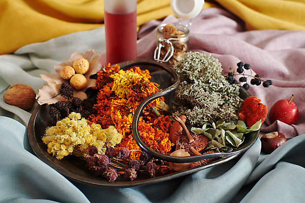 포토 JPG 해외이미지 식물 디자인 열매 꽃 음식 잎 건조 사람없음 장식 유행 환경 정원 버섯 견과류 가을 면 항아리 숲 바느질 실크 천 허브 유기농 생태학 퀼트 해외202009 해외포토 웰빙 계절 교육 직물 도자기 파일형식