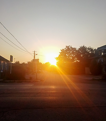 포토 JPG 해외이미지 나무 도로 여행 밭 자연 하늘 아침 거리 주택 풍경 사람없음 야외 초록색 여름 관광지 빛 햇빛 태양 노란색 마을 일출 일몰 새벽 시골 도시 황금 저녁 배낭여행 장면 지역 타운 수평선 해외202009 해외포토 주간 자연요소 식물 계절 길 컬러 농업 교통시설 건물 노을 야간 생태계 파일형식