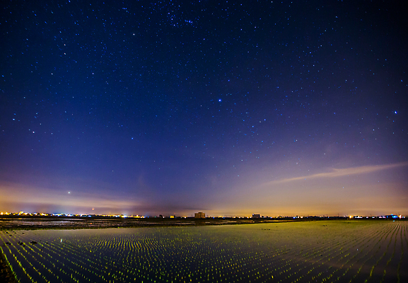 포토 JPG 해외이미지 식물 구름 전통 계절 아시아 문화 여행 백그라운드 농업 오렌지 자연 하늘 밥 주택 풍경 초원 사람없음 야외 초록색 물 여름 농작물 햇빛 태양 농장 반사 일출 맑음 일몰 봄 성장 시골 낟알 땅 발리 인도네시아 장면 내추럴 논밭 모종 해외202009 해외포토 자연요소 나라 산업 음식 컬러 섬 밭 과일 날씨 논 건물 노을 생태계 파일형식