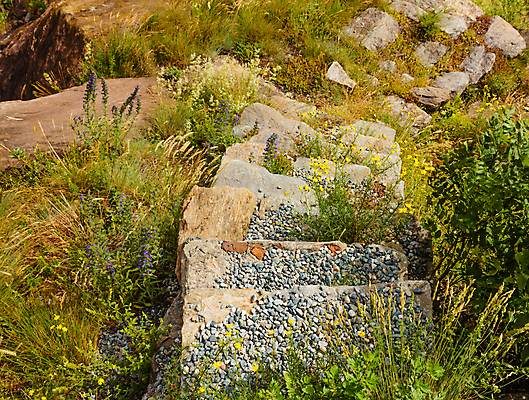 포토 JPG 해외이미지 공원 꽃 길 여행 건축양식 사다리 자연 산 사람없음 야외 초록색 노란색 계단 회색 조약돌 개화 제비꽃 오르기 단계 해외202009 해외포토 식물 공공시설 건축 컬러 모션 돌_바위 도구 생태계 파일형식