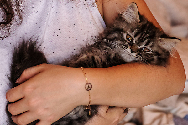 포토 JPG 해외이미지 동물 행복 어린이 바닥 주택 털 따뜻함 미소 사람없음 반려동물 갈색 머리 귀여움 고양이 화목 카펫 기쁨 흰색 표현 잠 유머 치아 먹이 공격 모피 꼬리 부드러움 사냥꾼 솜털 생강 고립 천진난만 혼자 해외202009 해외포토 직업 감정 컬러 컨셉 채소 포유류 모션 표정 사람 건물 신체부위 소화기관 감각 파일형식