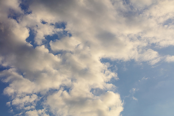 포토 JPG 해외이미지 식물 구름 공원 백그라운드 잎 패턴 자연 하늘 날씨 추상 바닥 이끼 풍경 사람없음 야외 초록색 여름 파란색 빛 태양 갈색 우주 환경 정원 맑음 마시기 흰색 분위기 숲 방향 폭풍 천국 솜털 흐림 내추럴 옛날 채널 해외202009 해외포토 자연요소 계절 공공시설 컬러 컨셉 무늬 모션 생태계 파일형식