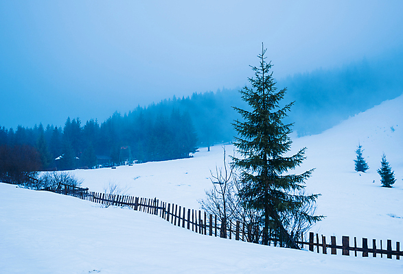 포토 JPG 해외이미지 나무 계절 유럽 여행 겨울 자연 날씨 휴가 산 파노라마 풍경 사람없음 환경 계곡 냉동 얼음 하이킹 추위 안개 흰색 시골 숲 큼 서리 북쪽 전나무 산악지대 교외 제설기 폭설 눈내림 해외202009 해외포토 자연요소 식물 나라 컬러 레저 눈_날씨 촬영기법 크기 자연재해 방향 생태계 제설 파일형식