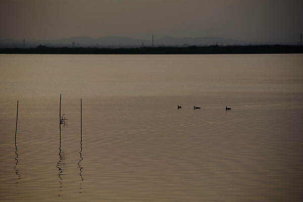 포토 JPG 해외이미지 라이프스타일 공원 유럽 호수 여행 자연 조류 하늘 아침 산 파노라마 사랑 풍경 사람없음 야외 초록색 물 여름 파란색 태양 반사 평화 일출 계곡 침묵 고요 일몰 봄 젖음 안개 나뭇가지 연못 숲 브런치 석호 뿌연 전국 해외202009 해외포토 주간 자연요소 나무 동물 계절 공공시설 감정 나라 컬러 컨셉 날씨 촬영기법 생활 노을 식사 소리 생태계 파일형식
