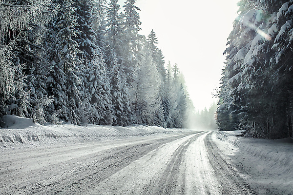 포토 JPG 해외이미지 나무 도로 길 이동 겨울 곡선 날씨 산 그림자 안전 사람없음 빛 햇빛 태양 맑음 냉동 얼음 힘 운전 추위 안개 광선 나뭇가지 시골 소나무 숲 위험 서리 조심 침엽수 느림 뿌연 선로 눈내림 해외202009 해외포토 자연요소 식물 계절 선 컨셉 교통시설 모션 눈_날씨 파일형식