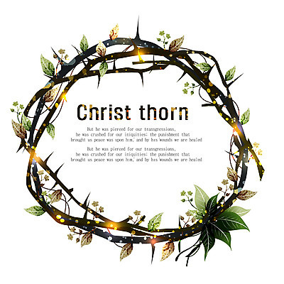 EPS 기독교 종교 백그라운드 일러스트 나뭇잎 프레임 틀 사람없음 정방 원형프레임 가시면류관 가시나무 국내일러스트 나무 잎 종교용품 원형 파일형식 벡터