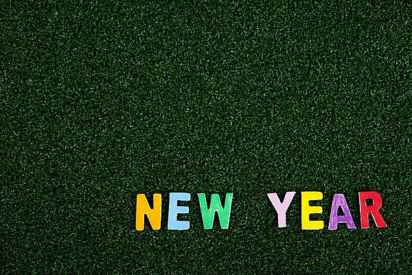 포토 JPG 스튜디오촬영 문자 기호 알파벳 영어 문장 백그라운드 새해 실내 잔디 사람없음 공백 새해인사 인사말 오브젝트 2010년 경인년 국내포토 식물 내부 인사 연도 파일형식