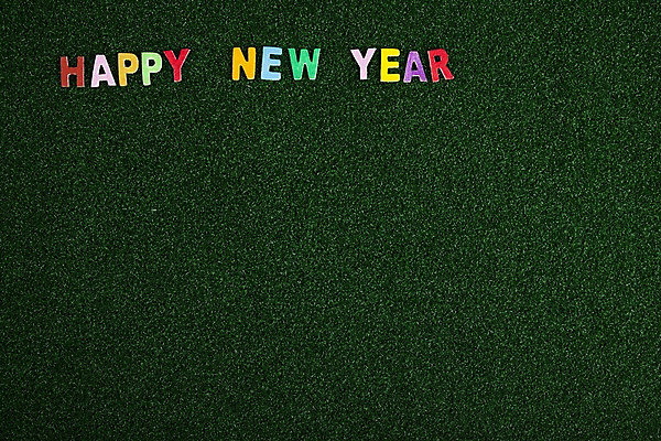 포토 JPG 스튜디오촬영 문자 기호 알파벳 영어 문장 백그라운드 새해 실내 잔디 사람없음 공백 새해인사 인사말 오브젝트 2010년 해피뉴이어 경인년 국내포토 식물 내부 인사 연도 파일형식