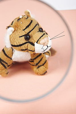 포토 JPG 스튜디오촬영 인형 새해 실내 사람없음 호랑이띠 호랑이 오브젝트 2010년 경인년 호랑이인형 국내포토 포유류 내부 십이지신 연도 파일형식