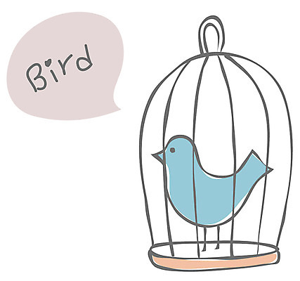 EPS 동물 아이콘 척추동물 영어 조류 영어교육 사람없음 단어 라인아이콘 앵무새 새장 페럿 2D아이콘 문자 교육 포유류 케이지 파일형식 벡터