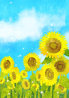 주간 PSD 식물 구름 사계절 계절 꽃 줄기 백그라운드 잎 꽃밭 일러스트 여름꽃 자연 하늘 나뭇잎 해바라기 풍경 사람없음 야외 여름 노란색 여름풍경 국내일러스트 자연요소 컬러 생태계 파일형식 여름_계절