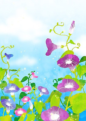 주간 PSD 식물 구름 사계절 계절 꽃 줄기 분홍색 컬러 여러송이 백그라운드 잎 일러스트 여름꽃 자연 하늘 나뭇잎 풍경 사람없음 야외 여름 보라색 여름풍경 이슬 나팔꽃 국내일러스트 자연요소 다수 생태계 파일형식 여름_계절