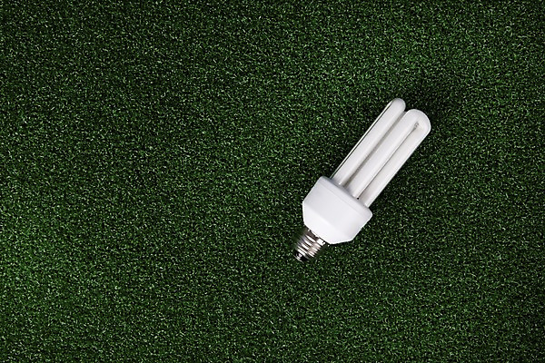 포토 JPG 스튜디오촬영 생활용품 백그라운드 전구 실내 잔디 사람없음 자연보호 환경 공백 사회이슈 오브젝트 에너지절약 국내포토 식물 컨셉 자연 내부 에너지 절약 보호 파일형식