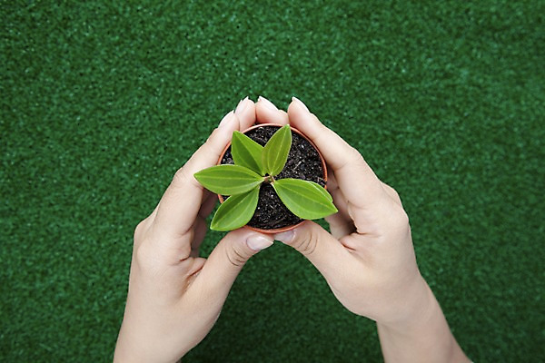 포토 JPG 스튜디오촬영 식물 손 화분 화초 배경화면 백그라운드 자연 생명 실내 잔디 라이프 신체부위 자연보호 환경 공백 사회이슈 국내포토 컨셉 사람 내부 생활 보호 생태계 파일형식