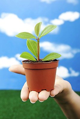 포토 JPG 스튜디오촬영 식물 구름 손 화분 화초 자연 생명 실내 잔디 라이프 신체부위 자연보호 환경 사회이슈 국내포토 자연요소 컨셉 사람 내부 생활 보호 생태계 파일형식