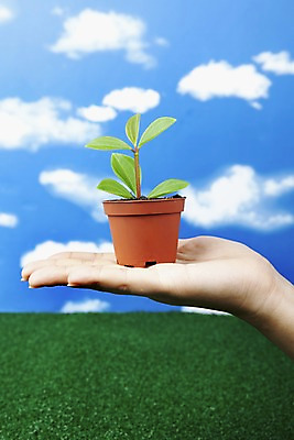 포토 JPG 스튜디오촬영 식물 구름 손 화분 화초 자연 생명 실내 잔디 라이프 신체부위 자연보호 환경 사회이슈 국내포토 자연요소 컨셉 사람 내부 생활 보호 생태계 파일형식