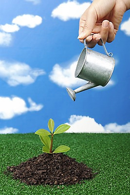 포토 JPG 스튜디오촬영 식물 구름 손 화초 자연 생명 실내 잔디 라이프 신체부위 새싹 자연보호 환경 흙 물뿌리개 사회이슈 국내포토 자연요소 컨셉 사람 내부 생활 보호 생태계 파일형식