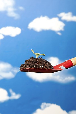 포토 JPG 스튜디오촬영 식물 구름 화초 농업 자연 생명 실내 사람없음 라이프 새싹 자연보호 환경 흙 농기구 모종삽 삽 사회이슈 장미허브 국내포토 자연요소 산업 컨셉 내부 생활 보호 허브 생태계 파일형식