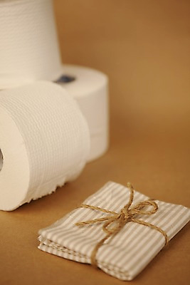 포토 JPG 스튜디오촬영 리본 생활용품 실내 사람없음 장식 자연보호 환경 끈 절약 비교 화장지 두루마리 천 사회이슈 에너지절약 손수건 두루마리화장지 국내포토 컨셉 자연 내부 에너지 직물 보호 오브젝트 파일형식