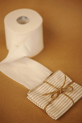 포토 JPG 스튜디오촬영 리본 생활용품 실내 사람없음 장식 자연보호 환경 끈 절약 비교 화장지 두루마리 천 사회이슈 에너지절약 손수건 두루마리화장지 국내포토 컨셉 자연 내부 에너지 직물 보호 오브젝트 파일형식