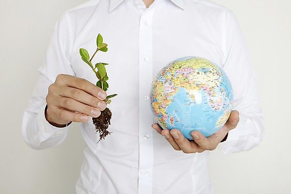 포토 JPG 스튜디오촬영 식물 손 지구 화초 생명 실내 사람 라이프 신체부위 지구본 자연보호 환경 사회이슈 에너지절약 입체퍼즐 국내포토 컨셉 자연 내부 생활 에너지 절약 퍼즐 보호 파일형식