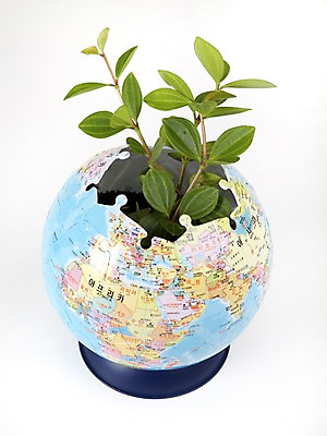 포토 JPG 스튜디오촬영 식물 지구 화초 생활용품 생명 실내 누끼 사람없음 라이프 지구본 놀이용품 자연보호 환경 퍼즐 사회이슈 에너지절약 입체퍼즐 국내포토 컨셉 자연 내부 생활 에너지 절약 보호 오브젝트 파일형식