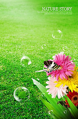 PSD 식물 편집 편집이미지 웰빙 꽃 나비 곤충 백그라운드 잎 절지류 자연 국화 잔디 사람없음 세로 공백 물방울 풀 공기방울 합성 이미지편집 동물 생태계 파일형식