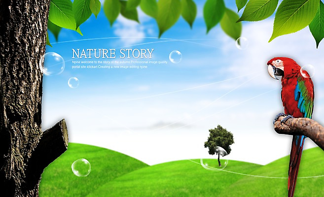 PSD 나무 식물 동물 구름 편집 편집이미지 척추동물 웰빙 백그라운드 자연 조류 하늘 나뭇잎 산 프레임 틀 풍경 사람없음 가로 나뭇가지 언덕 공기방울 합성 앵무새 이미지편집 자연요소 잎 생태계 파일형식