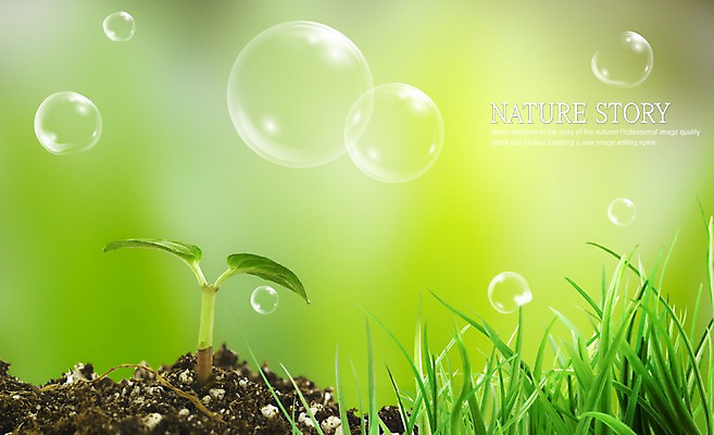 PSD 식물 편집 편집이미지 웰빙 백그라운드 자연 생명 풍경 잔디 사람없음 라이프 가로 새싹 흙 공백 풀 공기방울 합성 이미지편집 생활 생태계 파일형식