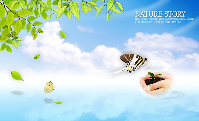PSD 나무 식물 구름 편집 편집이미지 손 웰빙 나비 곤충 백그라운드 절지류 자연 하늘 나뭇잎 한명 신체부위 가로 물 반사 새싹 흙 공기방울 합성 이미지편집 자연요소 동물 1 잎 사람 생태계 파일형식