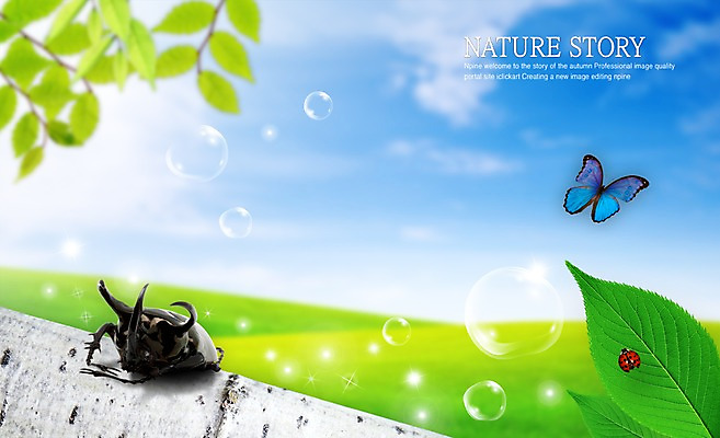 PSD 나무 식물 구름 편집 편집이미지 웰빙 나비 곤충 백그라운드 절지류 자연 하늘 나뭇잎 풍경 초원 사람없음 가로 나뭇가지 공기방울 합성 무당벌레 하늘소 이미지편집 자연요소 동물 잎 생태계 파일형식
