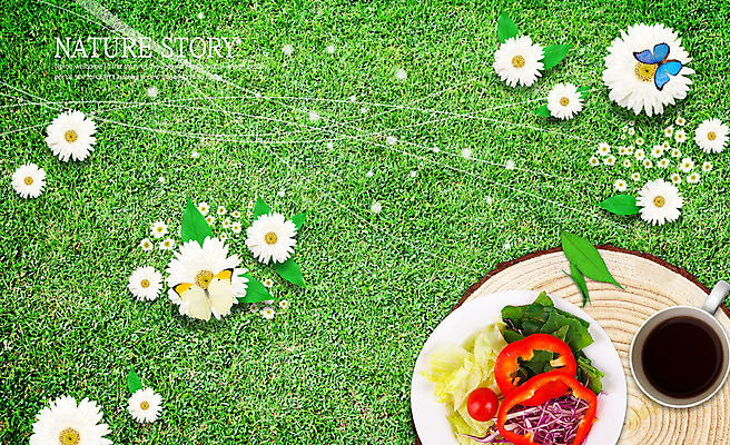 PSD 식물 편집 편집이미지 그릇 접시 웰빙 꽃 커피 음식 나비 곤충 백그라운드 채소 자연 나뭇잎 국화 서양음식 잔디 사람없음 가로 샐러드 커피잔 합성 웰빙음식 이미지편집 동물 식기 음료 잎 잔 생태계 건강식 파일형식