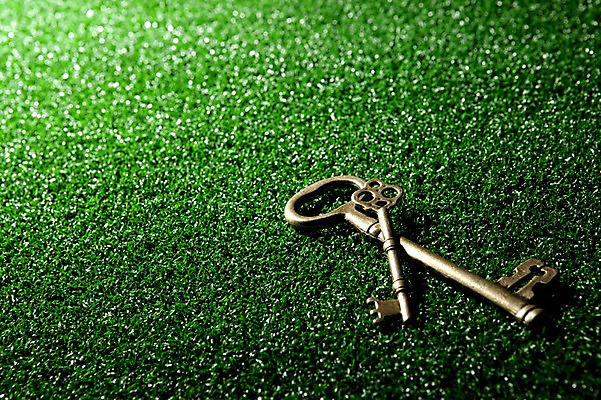 포토 JPG 스튜디오촬영 백그라운드 열쇠 새출발 새로움 실내 잔디 사람없음 공백 오브젝트 시작 보안장치 국내포토 식물 컨셉 내부 장비 출발 보안 파일형식