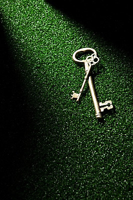 포토 JPG 스튜디오촬영 백그라운드 열쇠 새출발 새로움 실내 잔디 사람없음 공백 오브젝트 시작 보안장치 국내포토 식물 컨셉 내부 장비 출발 보안 파일형식