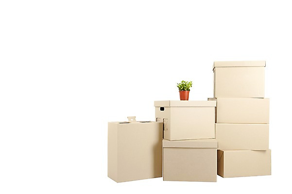 포토 JPG 스튜디오촬영 식물 화분 화초 생활용품 백그라운드 새출발 새로움 실내 누끼 사람없음 상자 공백 종이상자 오브젝트 시작 국내포토 컨셉 내부 출발 파일형식