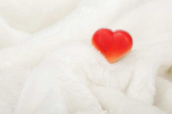 포토 JPG 스튜디오촬영 기념일 백그라운드 디저트 털 실내 발렌타인데이 이벤트 근접촬영 사람없음 장식 가로 한개 초콜릿 하트 오브젝트 국내포토 모양 1 음식 뷰포인트 데이이벤트 내부 파일형식