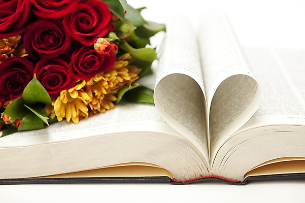 포토 JPG 스튜디오촬영 기념일 꽃 꽃다발 백그라운드 디저트 국화 실내 발렌타인데이 사랑 이벤트 사람없음 장식 간행물 책 가로 장미 초콜릿 하트 오브젝트 국내포토 모양 식물 감정 음식 데이이벤트 내부 파일형식