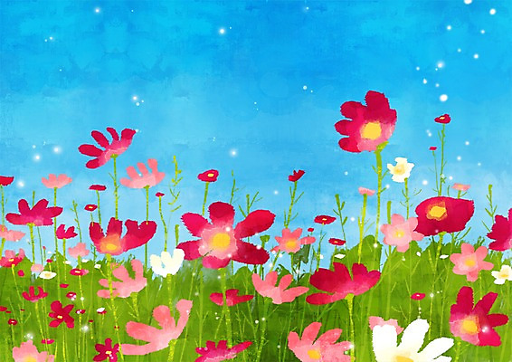 주간 PSD 식물 사계절 계절 꽃 백그라운드 일러스트 자연 풍경 초원 사람없음 야외 가을 풀 코스모스 가을배경 국내일러스트 자연요소 생태계 파일형식 가을_계절