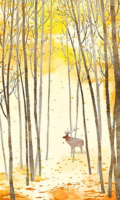 주간 PSD 나무 동물 한마리 사계절 계절 백그라운드 낙엽 일러스트 포유류 자연 사슴 산 여러그루 풍경 사람없음 야외 가을 숲 오솔길 가을배경 국내일러스트 자연요소 식물 1 길 다수 잎 생태계 파일형식 가을_계절