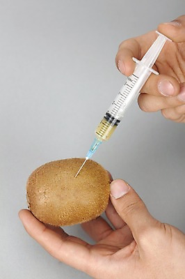 포토 JPG 스튜디오촬영 손 웰빙 다이어트 과일 의학 의료기기 실내 건강 키위 주사기 손짓 신체부위 한개 건강관리 의료용품 다이어트음식 국내포토 1 모션 관리 사람 내부 파일형식