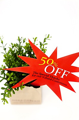 포토 JPG 스튜디오촬영 식물 기호 화분 화초 사람없음 장식 쇼핑 인테리어 숫자 판매 세일 풀 퍼센트 국내포토 문자 디자인 실내 특수기호 파일형식