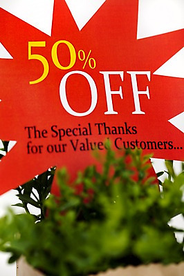 포토 JPG 스튜디오촬영 식물 기호 화분 화초 사람없음 장식 쇼핑 인테리어 숫자 판매 세일 풀 퍼센트 국내포토 문자 디자인 실내 특수기호 파일형식