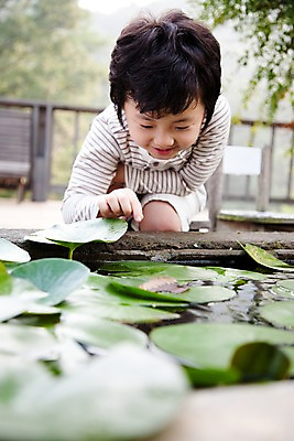 포토 JPG 주간 식물 남자 어린이라이프 초등학생 어린이 놀이 휴식 한명 웃음 사람 앉기 동양인 소년 상반신 취미 야외 귀여움 관찰 연잎 우물 남자만 남자한명만 어린이만 소년만 소년한명만 국내포토 자연요소 1 학생 라이프스타일 컨셉 잎 모션 표정 인종 파일형식