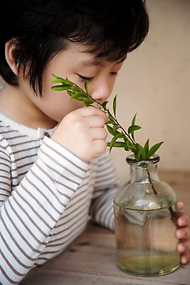 포토 JPG 주간 식물 남자 어린이라이프 초등학생 어린이 놀이 유리병 휴식 한명 사람 동양인 소년 상반신 취미 귀여움 나뭇가지 호기심 남자만 남자한명만 어린이만 소년만 소년한명만 국내포토 자연요소 나무 1 학생 라이프스타일 감정 컨셉 병_용기 인종 파일형식