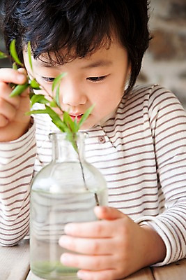 포토 JPG 주간 식물 남자 어린이라이프 초등학생 어린이 놀이 유리병 휴식 한명 사람 동양인 소년 상반신 취미 앞모습 귀여움 나뭇가지 관찰 호기심 남자만 남자한명만 어린이만 소년만 소년한명만 국내포토 자연요소 나무 1 학생 라이프스타일 감정 뷰포인트 컨셉 모션 병_용기 인종 파일형식