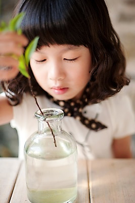 포토 JPG 주간 식물 여자 어린이라이프 초등학생 어린이 놀이 유리병 휴식 한명 사람 동양인 소녀 상반신 취미 귀여움 나뭇가지 관찰 호기심 여자만 여자한명만 어린이만 소녀만 소녀한명만 국내포토 자연요소 나무 1 학생 라이프스타일 감정 컨셉 모션 병_용기 인종 파일형식