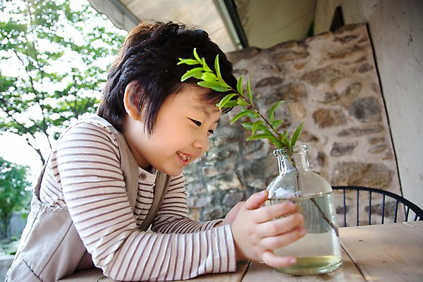 포토 JPG 주간 식물 남자 어린이라이프 초등학생 어린이 놀이 유리병 휴식 한명 웃음 사람 동양인 소년 상반신 취미 야외 옆모습 귀여움 나뭇가지 남자만 남자한명만 어린이만 소년만 소년한명만 국내포토 자연요소 나무 1 학생 라이프스타일 뷰포인트 컨셉 병_용기 표정 인종 파일형식